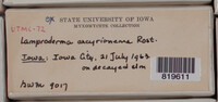 Image Associated With the Occurence